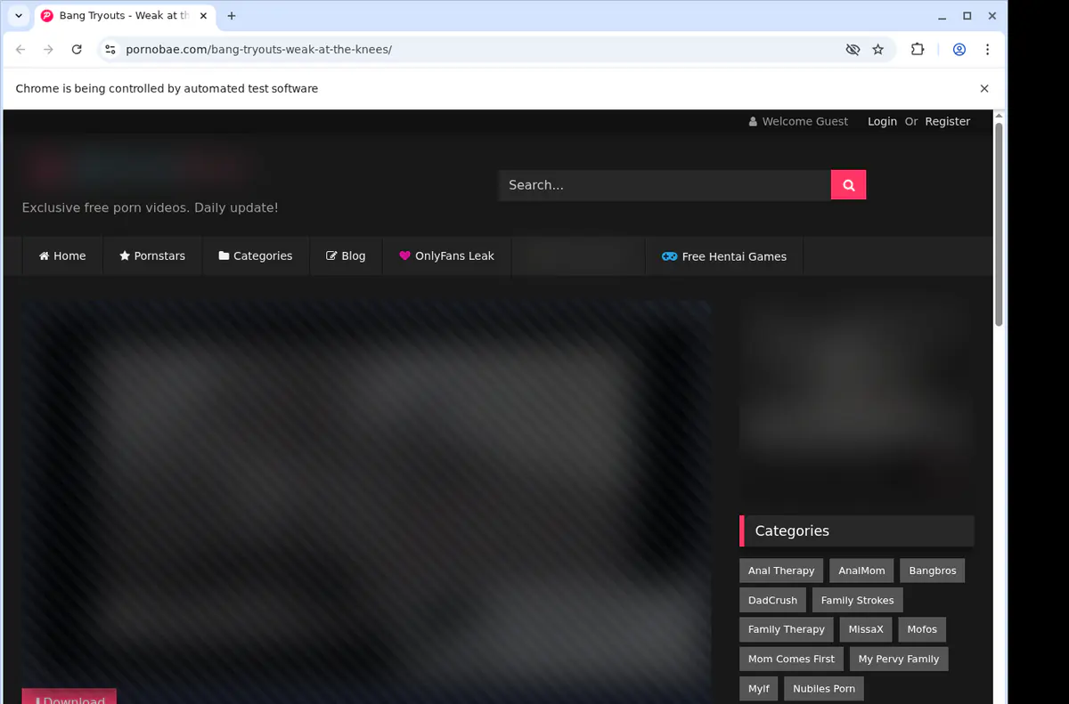 Pornobae Video Downloader screenshot 2