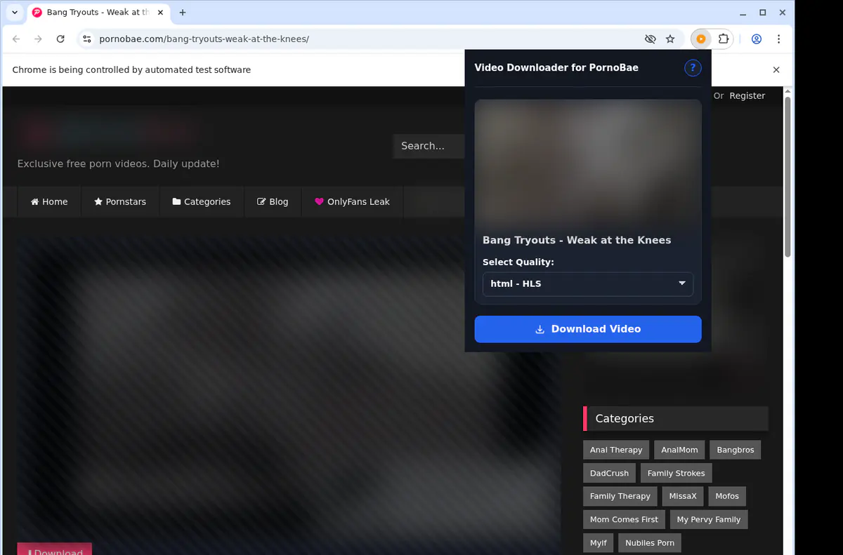 Pornobae Video Downloader screenshot 3
