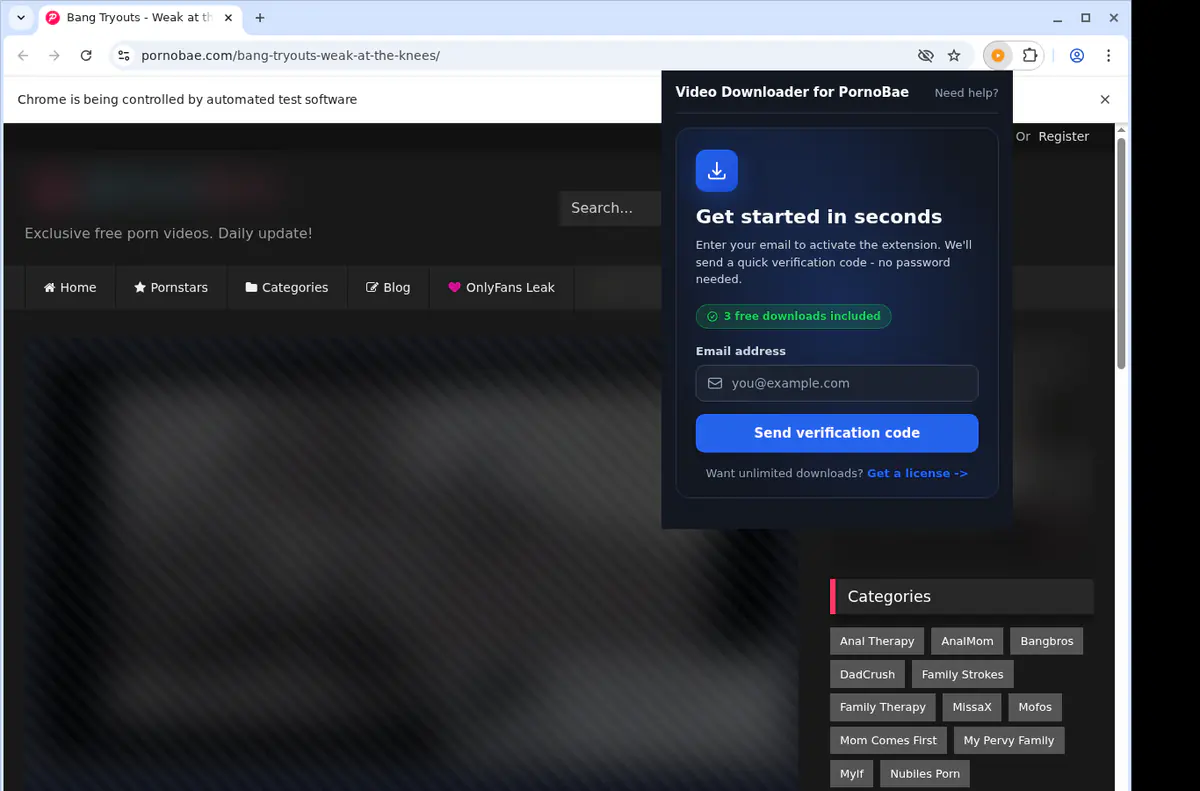 Pornobae Video Downloader screenshot 5